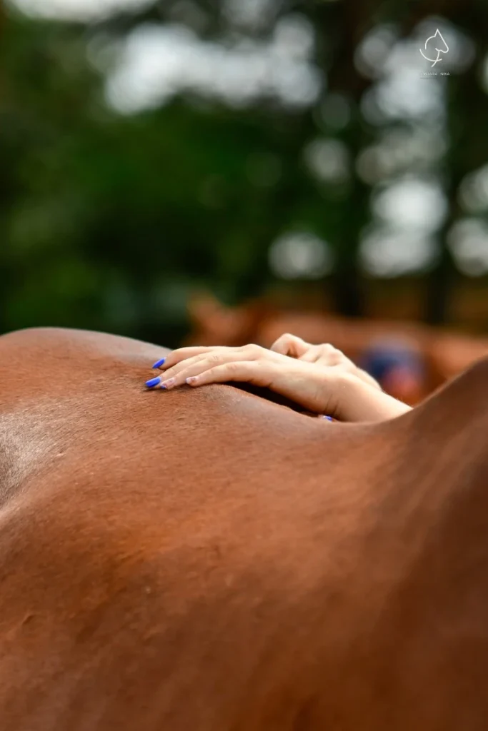 Warsztaty z Katarzyna Lukaszewicz