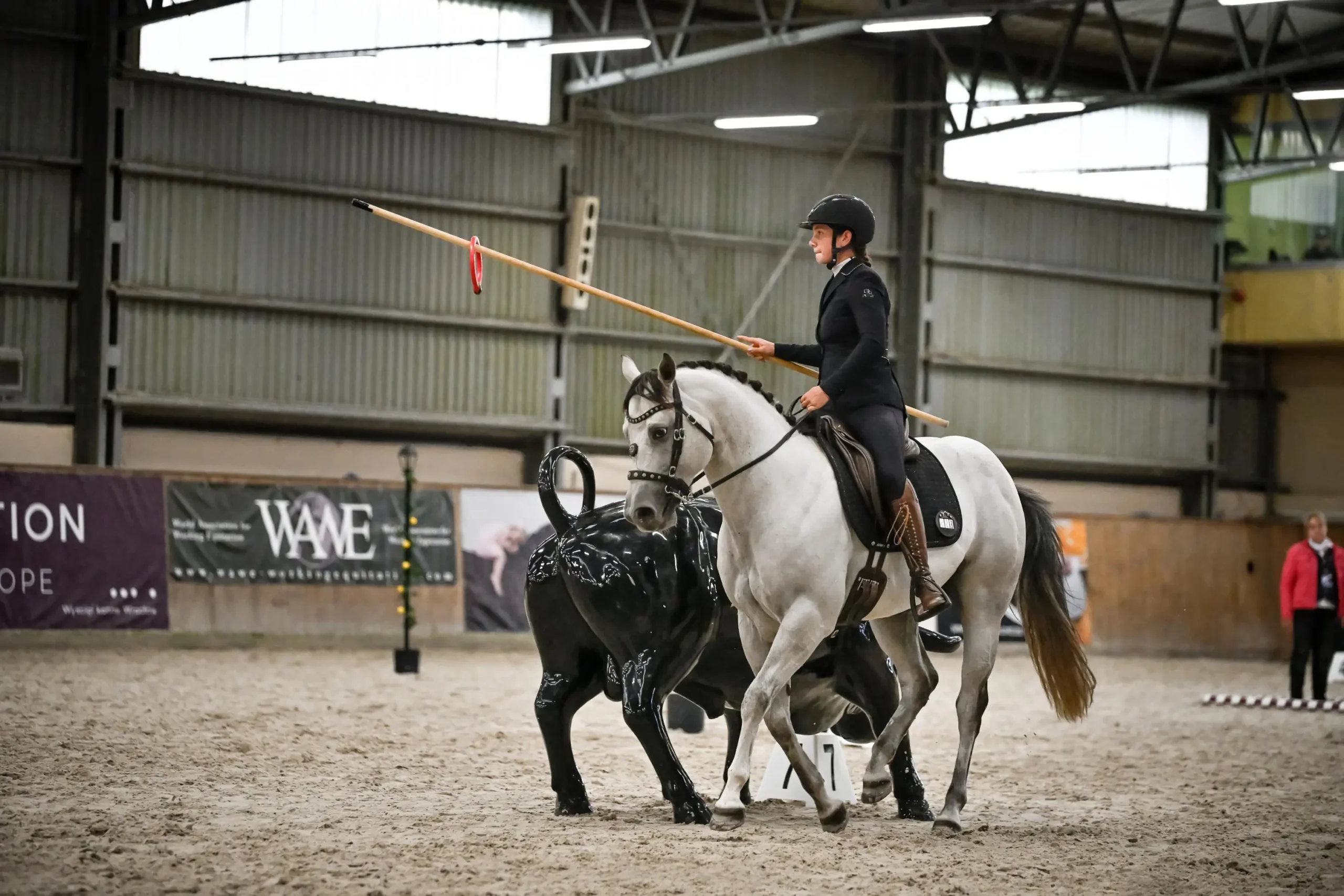 Working Equitation - Weronika Kicinska